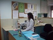 المختبرات الطبية التخصصية - فلسطين