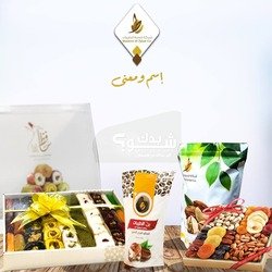 شركة مدينة الطيبات 