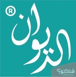 شركة الديوان للبرمجيات وتكنولوجيا المعلومات