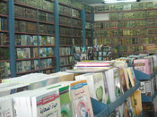 مكتبة دنديس العلمية 