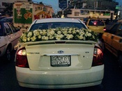 ازهار البرنس